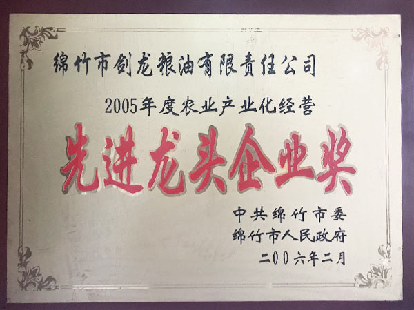 先進(jìn)龍頭企業(yè).jpg